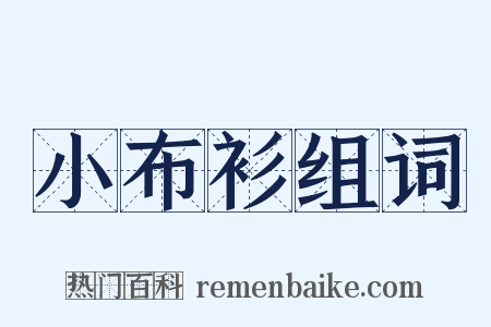 小布衫组词是什么意思的图片